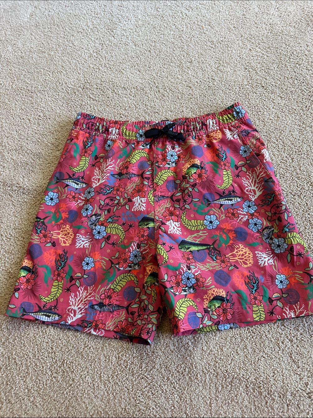 Avid swim trunks